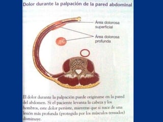 Técnicas de exploración abdominal