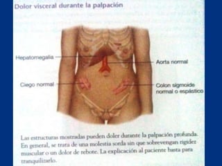 Técnicas de exploración abdominal