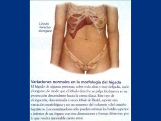 Técnicas de exploración abdominal