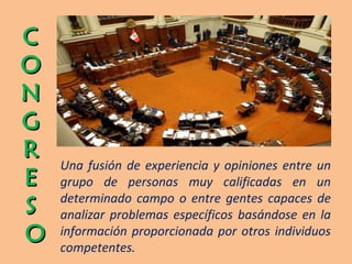 C O N G R E S  O Una fusión de experiencia y opiniones entre un grupo de personas muy calificadas en un determinado campo o entre gentes capaces de analizar problemas específicos basándose en la información proporcionada por otros individuos competentes. 