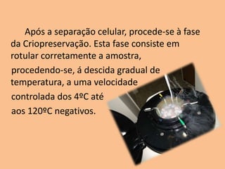 Após a separação celular, procede-se à fase
da Criopreservação. Esta fase consiste em
rotular corretamente a amostra,
procedendo-se, á descida gradual de
temperatura, a uma velocidade
controlada dos 4ºC até
aos 120ºC negativos.

 