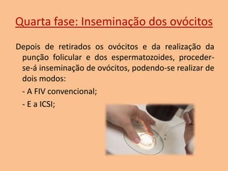 Quarta fase: Inseminação dos ovócitos
Depois de retirados os ovócitos e da realização da
punção folicular e dos espermatozoides, procederse-á inseminação de ovócitos, podendo-se realizar de
dois modos:
- A FIV convencional;
- E a ICSI;

 
