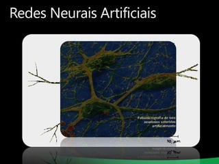 Redes Neurais Artificiais

 