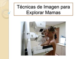 Técnicas de Imagen para
Explorar Mamas
 
