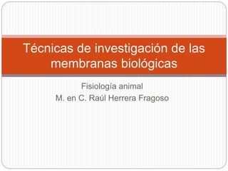 Fisiología animal
M. en C. Raúl Herrera Fragoso
Técnicas de investigación de las
membranas biológicas
 