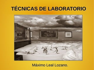 TÉCNICAS DE LABORATORIO




      Máximo Leal Lozano.
 