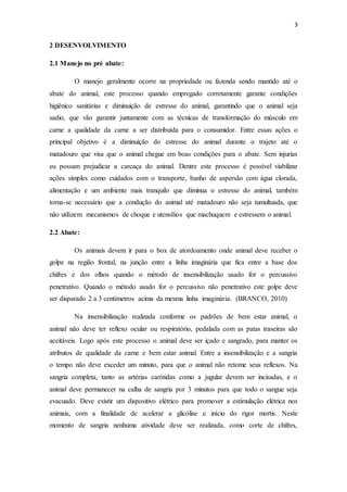 3 
2 DESENVOLVIMENTO 
2.1 Manejo no pré abate: 
O manejo geralmente ocorre na propriedade ou fazenda sendo mantido até o 
abate do animal, este processo quando empregado corretamente garante condições 
higiênico sanitárias e diminuição de estresse do animal, garantindo que o animal seja 
sadio, que vão garantir juntamente com as técnicas de transformação do músculo em 
carne a qualidade da carne a ser distribuída para o consumidor. Entre essas ações o 
principal objetivo é a diminuição do estresse do animal durante o trajeto até o 
matadouro que visa que o animal chegue em boas condições para o abate. Sem injurias 
eu possam prejudicar a carcaça do animal. Dentre este processo é possível viabilizar 
ações simples como cuidados com o transporte, banho de aspersão com água clorada, 
alimentação e um ambiente mais tranquilo que diminua o estresse do animal, também 
torna-se necessário que a condução do animal até matadouro não seja tumultuada, que 
não utilizem mecanismos de choque e utensílios que machuquem e estressem o animal. 
2.2 Abate: 
Os animais devem ir para o box de atordoamento onde animal deve receber o 
golpe na região frontal, na junção entre a linha imaginária que fica entre a base dos 
chifres e dos olhos quando o método de insensibilização usado for o percussivo 
penetrativo. Quando o método usado for o percussivo não penetrativo este golpe deve 
ser disparado 2 a 3 centímetros acima da mesma linha imaginária. (BRANCO, 2010) 
Na insensibilização realizada conforme os padrões de bem estar animal, o 
animal não deve ter reflexo ocular ou respiratório, pedalada com as patas traseiras são 
aceitáveis. Logo após este processo o animal deve ser içado e sangrado, para manter os 
atributos de qualidade da carne e bem estar animal. Entre a insensibilização e a sangria 
o tempo não deve exceder um minuto, para que o animal não retome seus reflexos. Na 
sangria completa, tanto as artérias carótidas como a jugular devem ser incisadas, e o 
animal deve permanecer na calha de sangria por 3 minutos para que todo o sangue seja 
evacuado. Deve existir um dispositivo elétrico para promover a estimulação elétrica nos 
animais, com a finalidade de acelerar a glicólise e início do rigor mortis. Neste 
momento de sangria nenhuma atividade deve ser realizada, como corte de chifres, 
 