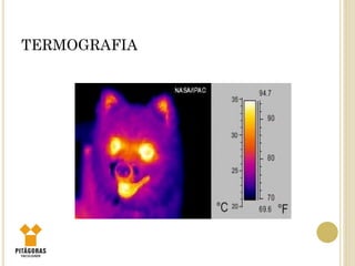 TERMOGRAFIA
 