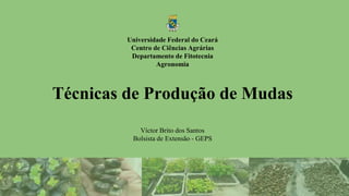 Técnicas de Produção de Mudas
Víctor Brito dos Santos
Bolsista de Extensão - GEPS
Universidade Federal do Ceará
Centro de Ciências Agrárias
Departamento de Fitotecnia
Agronomia
 