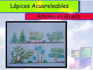Lápices Acuareleables
         Árboles en Alzado
 