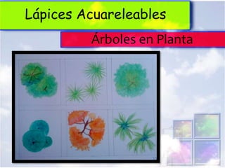 Lápices Acuareleables
         Árboles en Planta
 