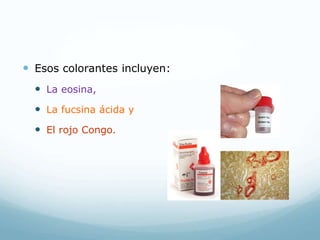  Esos colorantes incluyen:
 La eosina,
 La fucsina ácida y
 El rojo Congo.
 