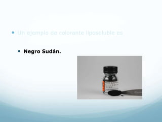  Un ejemplo de colorante liposoluble es
 Negro Sudán.
 