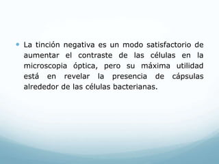  La tinción negativa es un modo satisfactorio de
aumentar el contraste de las células en la
microscopia óptica, pero su máxima utilidad
está en revelar la presencia de cápsulas
alrededor de las células bacterianas.
 