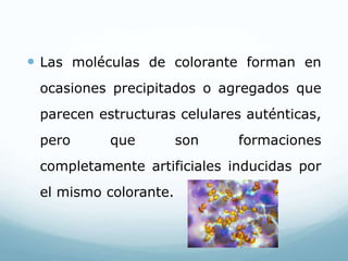  Las moléculas de colorante forman en
ocasiones precipitados o agregados que
parecen estructuras celulares auténticas,
pero que son formaciones
completamente artificiales inducidas por
el mismo colorante.
 