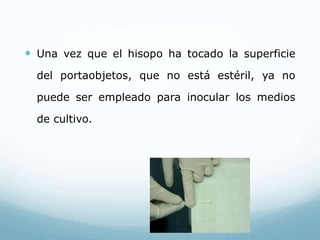  Una vez que el hisopo ha tocado la superficie
del portaobjetos, que no está estéril, ya no
puede ser empleado para inocular los medios
de cultivo.
 