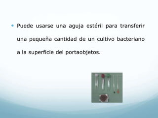  Puede usarse una aguja estéril para transferir
una pequeña cantidad de un cultivo bacteriano
a la superficie del portaobjetos.
 