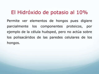 El Hidróxido de potasio al 10%
Permite ver elementos de hongos pues digiere
parcialmente los componentes proteicos, por
ejemplo de la célula huésped, pero no actúa sobre
los polisacáridos de las paredes celulares de los
hongos.
 