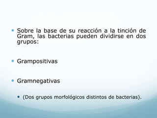  Sobre la base de su reacción a la tinción de
Gram, las bacterias pueden dividirse en dos
grupos:
 Grampositivas
 Gramnegativas
 (Dos grupos morfológicos distintos de bacterias).
 