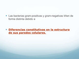  Las bacterias gram-positivas y gram-negativas tiñen de
forma distinta debido a
 Diferencias constitutivas en la estructura
de sus paredes celulares.
 