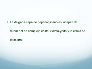  La delgada capa de peptidoglicano es incapaz de
retener el de complejo cristal violeta-yodo y la célula se
decolora.
 