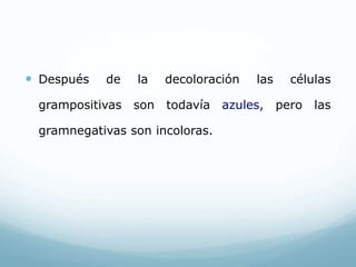  Después de la decoloración las células
grampositivas son todavía azules, pero las
gramnegativas son incoloras.
 