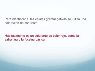 Para identificar a las células gramnegativas se utiliza una
coloración de contraste.
Habitualmente es un colorante de color rojo, como la
safranina o la fucsina básica.
 