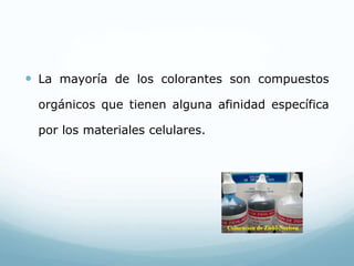  La mayoría de los colorantes son compuestos
orgánicos que tienen alguna afinidad específica
por los materiales celulares.
 