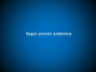 Técnicas de vendaje e inmovilización.
