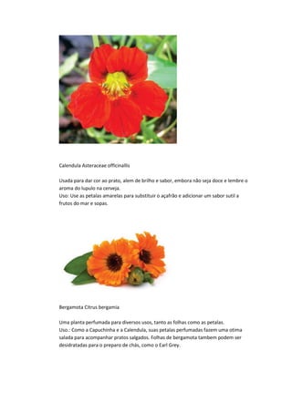 Calendula Asteraceae officinallis
Usada para dar cor ao prato, alem de brilho e sabor, embora não seja doce e lembre o
aroma do lupulo na cerveja.
Uso: Use as petalas amarelas para substituir o açafrão e adicionar um sabor sutil a
frutos do mar e sopas.
Bergamota Citrus bergamia
Uma planta perfumada para diversos usos, tanto as folhas como as petalas.
Uso.: Como a Capuchinha e a Calendula, suas petalas perfumadas fazem uma otima
salada para acompanhar pratos salgados. Folhas de bergamota tambem podem ser
desidratadas para o preparo de chás, como o Earl Grey.
 