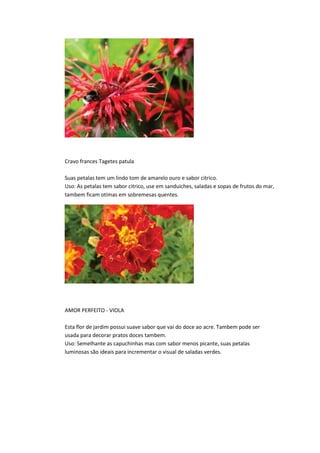 Cravo frances Tagetes patula
Suas petalas tem um lindo tom de amarelo ouro e sabor citrico.
Uso: As petalas tem sabor citrico, use em sanduiches, saladas e sopas de frutos do mar,
tambem ficam otimas em sobremesas quentes.
AMOR PERFEITO - VIOLA
Esta flor de jardim possui suave sabor que vai do doce ao acre. Tambem pode ser
usada para decorar pratos doces tambem.
Uso: Semelhante as capuchinhas mas com sabor menos picante, suas petalas
luminosas são ideais para incrementar o visual de saladas verdes.
 