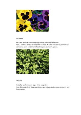 AZEDINHA
Seu sabor marcante é perfeito para guarnecer pratos a base de carne.
Uso: A azedinha confere sabor de limão a saladas. As folhas bem picadas, combinadas
com azeite, fazem um otimo molho citrico para acompanhar peixes.
TAGETES
Outra flor que fornece um toque citrico aos pratos.
Uso.: O toque de limão das petalas faz com que as tagetes sejam ideais para servir com
frutos do mar.
 