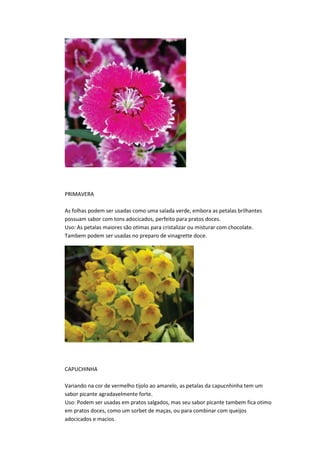 PRIMAVERA
As folhas podem ser usadas como uma salada verde, embora as petalas brilhantes
possuam sabor com tons adocicados, perfeito para pratos doces.
Uso: As petalas maiores são otimas para cristalizar ou misturar com chocolate.
Tambem podem ser usadas no preparo de vinagrette doce.
CAPUCHINHA
Variando na cor de vermelho tijolo ao amarelo, as petalas da capucnhinha tem um
sabor picante agradavelmente forte.
Uso: Podem ser usadas em pratos salgados, mas seu sabor picante tambem fica otimo
em pratos doces, como um sorbet de maças, ou para combinar com queijos
adocicados e macios.
 
