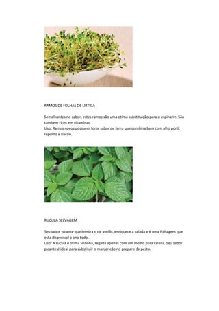 RAMOS DE FOLHAS DE URTIGA
Semelhantes no sabor, estes ramos são uma otima substituição para o espinafre. São
tambem ricos em vitaminas.
Uso: Ramos novos possuem forte sabor de ferro que combina bem com alho poró,
repolho e bacon.
RUCULA SELVAGEM
Seu sabor picante que lembra o de avelãs, enriquece a salada e é uma folhagem que
esta disponivel o ano todo.
Uso: A rucula é otima sozinha, regada apenas com um molho para salada. Seu sabor
picante é ideal para substituir o manjericão no preparo de pesto.
 