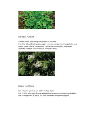 BROTOS DE PILRITEIRO
As folhas jovens possuem agradavel sabor de castanhas.
Uso: Estas folhas são otimas opções para a couve e acompanhamentos perfeitos para
queijos fortes. Pique-as com azedinha e alho e use como tempero para carnes
vermelhas. Tambem combinam muito bem com batatas.
ERVA DE PASSARINHO
Tem um sabor agradavel que lembra muito o alface.
Uso: Perfeita como parte de uma salada de inverno, esta erva tambem combina bem
com o sabor picante do agrião, use como ornamento para pratos salgados.
 
