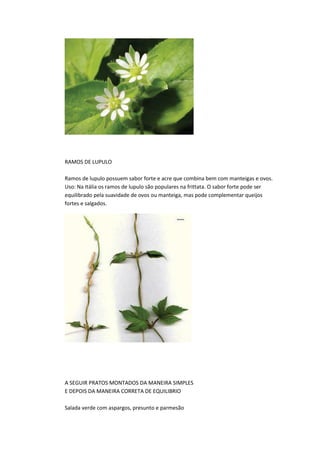 RAMOS DE LUPULO
Ramos de lupulo possuem sabor forte e acre que combina bem com manteigas e ovos.
Uso: Na Itália os ramos de lupulo são populares na frittata. O sabor forte pode ser
equilibrado pela suavidade de ovos ou manteiga, mas pode complementar queijos
fortes e salgados.
A SEGUIR PRATOS MONTADOS DA MANEIRA SIMPLES
E DEPOIS DA MANEIRA CORRETA DE EQUILIBRIO
Salada verde com aspargos, presunto e parmesão
 