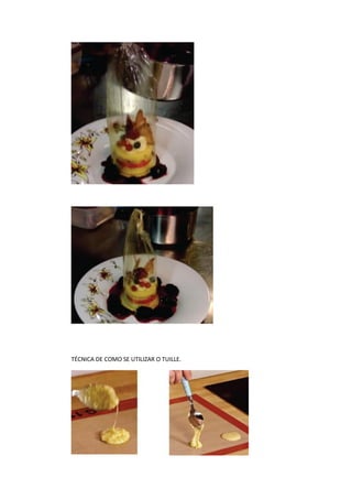 TÉCNICA DE COMO SE UTILIZAR O TUILLE.
 