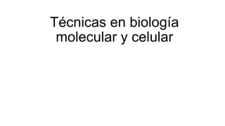 Técnicas en biología
molecular y celular
 
