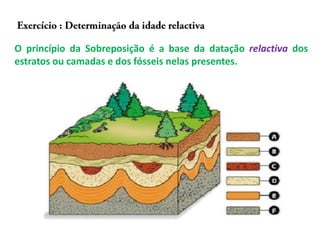 O princípio da Sobreposição é a base da datação relactiva dos
estratos ou camadas e dos fósseis nelas presentes.
 