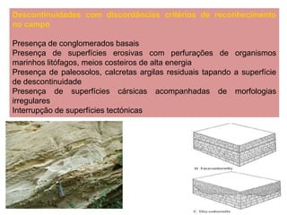 Descontinuidades com discordâncias critérios de reconhecimento
no campo

Presença de conglomerados basais
Presença de superfícies erosivas com perfurações de organismos
marinhos litófagos, meios costeiros de alta energia
Presença de paleosolos, calcretas argilas residuais tapando a superfície
de descontinuidade
Presença de superfícies cársicas acompanhadas de morfologias
irregulares
Interrupção de superfícies tectónicas
 