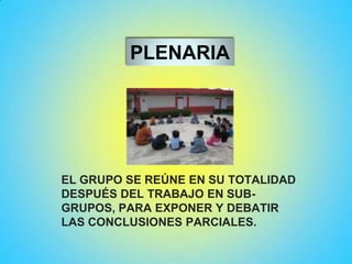 PLENARIA
EL GRUPO SE REÚNE EN SU TOTALIDAD
DESPUÉS DEL TRABAJO EN SUB-
GRUPOS, PARA EXPONER Y DEBATIR
LAS CONCLUSIONES PARCIALES.
 