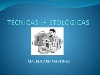 M.V. EDUARD MARTINEZ
 