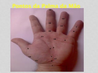 Pontos da Palma da Mão
 