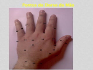 Pontos do Dorso da Mão
 