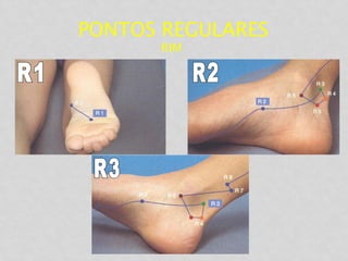 PONTOS REGULARES
RIM
 