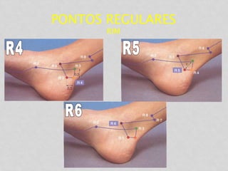 PONTOS REGULARES
RIM
 