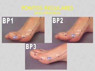 PONTOS REGULARES
BAÇO-PÂNCREAS
 