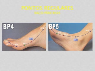 PONTOS REGULARES
BAÇO-PÂNCREAS
 