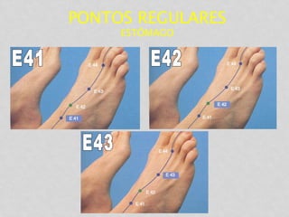 PONTOS REGULARES
ESTÔMAGO
 