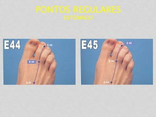 PONTOS REGULARES
ESTÔMAGO
 